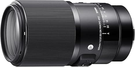 Sigma 105mm F2 8 Dg Dn Macro Art Sony E Mount