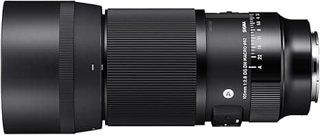 Sigma 105mm F2 8 Dg Dn Macro Art Sony E Mount